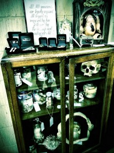 Cabinet of Curiosities from the Tattoo Convention