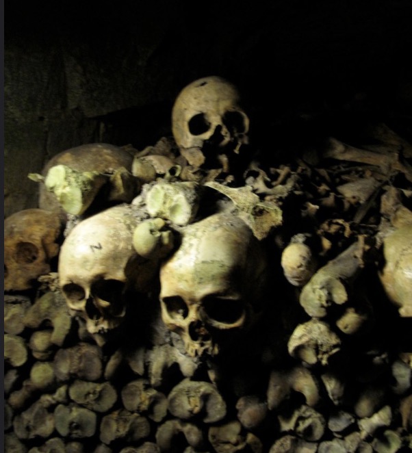 bones catacombs