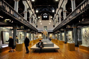 Hunterian Museum, Glasgow